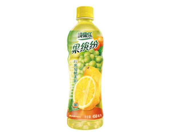 【纯果乐】柠爽萄醉美味450ml