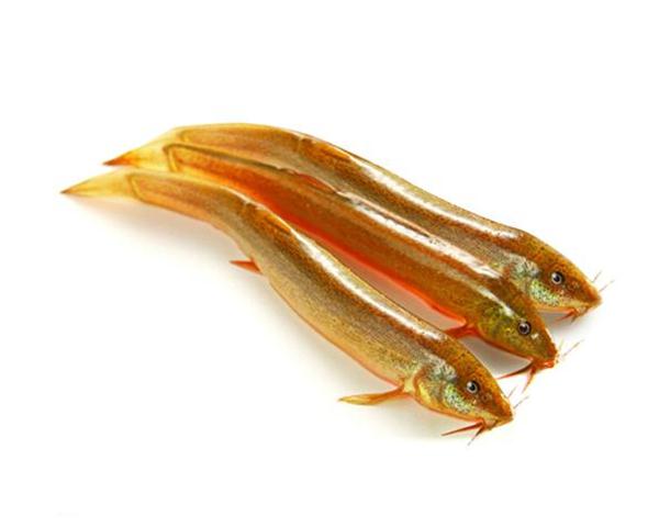 龙会易购---积分商城